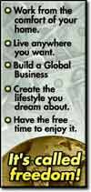 Best Home Based Business